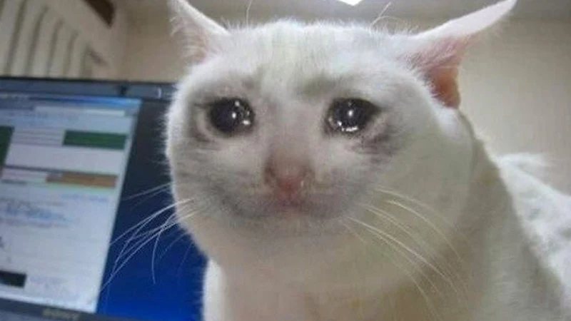 Crying reaction image for a meme challenge